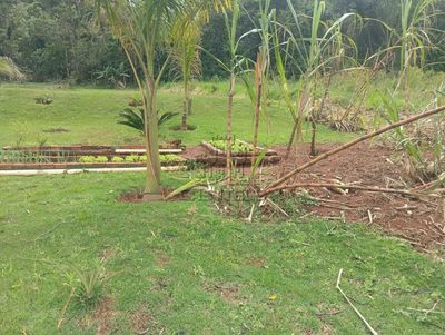 Chácara, 4000 m² - Foto 4