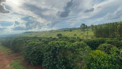 Chácara, 1 quarto, 18 hectares - Foto 3