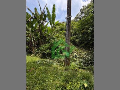 Terreno, 368 m² - Foto 5