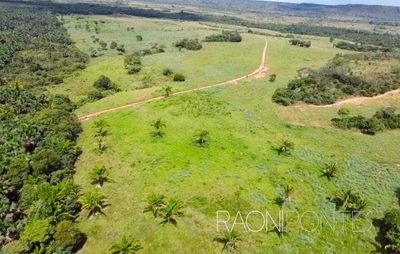 Fazenda, 8 quartos - Foto 4