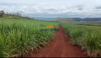 Fazenda, 796 hectares - Foto 4