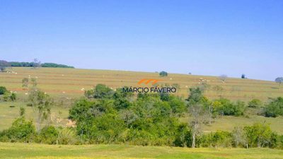 Fazenda, 184 hectares - Foto 5