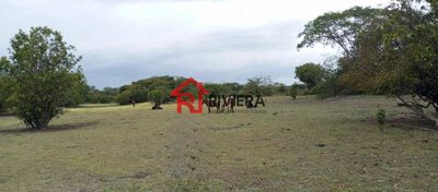 Terreno, 250 hectares - Foto 1