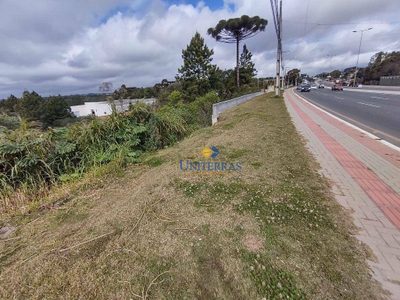 Terreno, 7862 m² - Foto 1