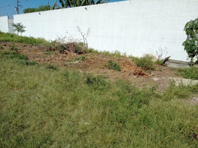 Terreno, 250 m² - Foto 2
