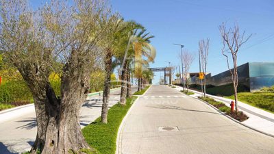 Terreno, 300 m² - Foto 4