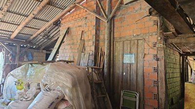 Sítio, 3 quartos, 250 m² - Foto 5