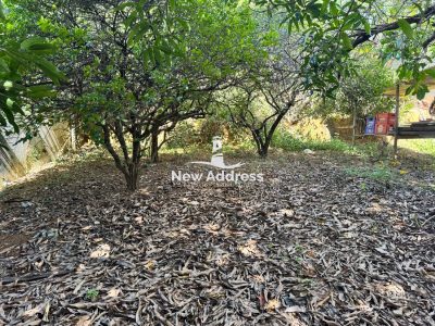 Terreno, 336 m² - Foto 3