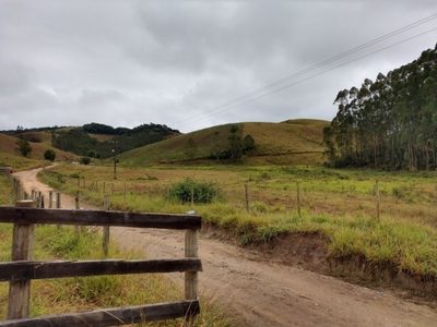 Fazenda, 46 hectares - Foto 2