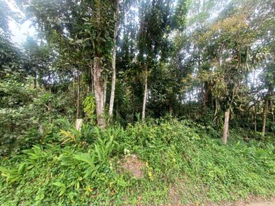 Terreno, 3589 m² - Foto 1