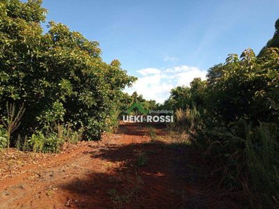 Sítio, 21 hectares - Foto 1