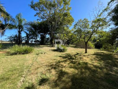 Sítio, 7 hectares - Foto 3