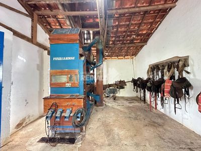 Fazenda, 542 hectares - Foto 2