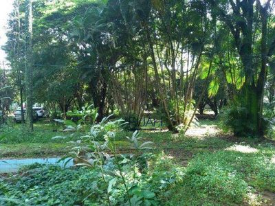 Terreno, 2 hectares - Foto 2