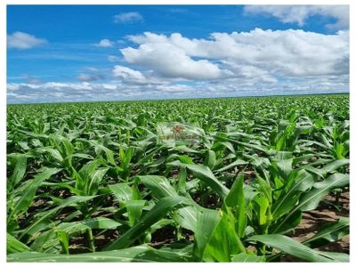 Fazenda, 8750 m² - Foto 1