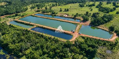 Fazenda, 117 hectares - Foto 3
