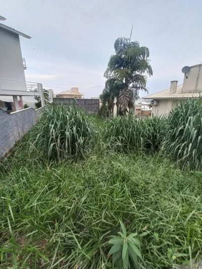 Terreno, 360 m² - Foto 5