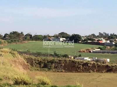 Terreno, 2 hectares - Foto 2