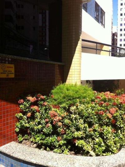 Apartamento, 4 quartos, 122 m² - Foto 2