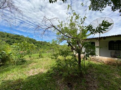 Fazenda, 214 hectares - Foto 2