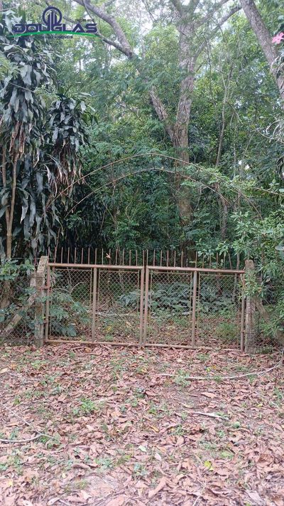Terreno, 600 m² - Foto 1