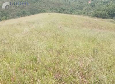 Terreno, 2 hectares - Foto 2