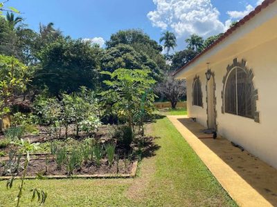 Casa, 4 quartos, 376 m² - Foto 5