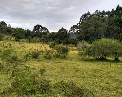 Chácara, 3 hectares - Foto 2