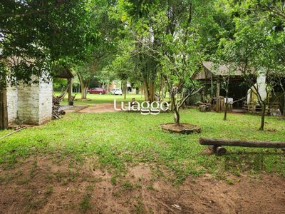 Sítio, 2 quartos, 181 m² - Foto 4