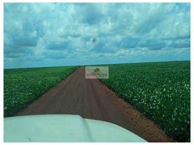 Fazenda, 4000 m² - Foto 2