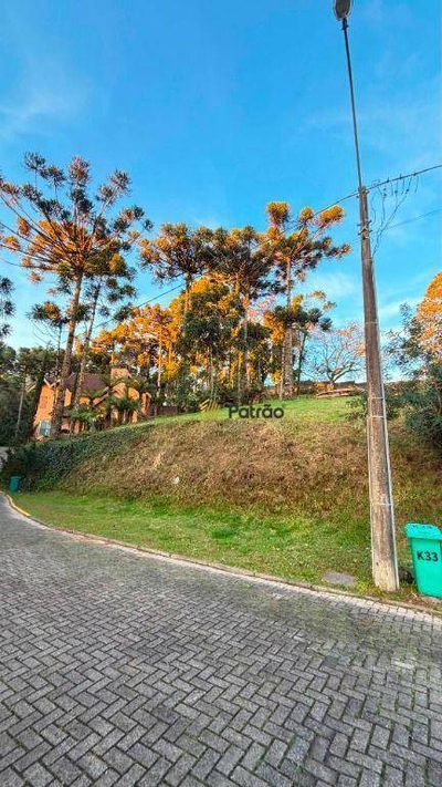Loteamento e Condomínio, 980 m² - Foto 3