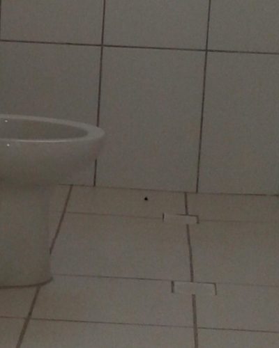 Apartamento, 2 quartos, 47 m² - Foto 3