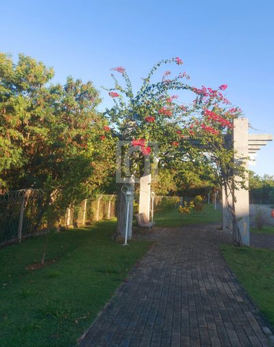 Terreno, 288 m² - Foto 2