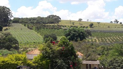 Fazenda, 82 m² - Foto 4