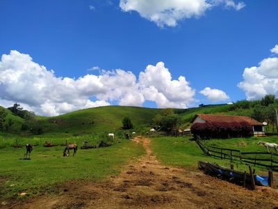 Sítio, 2 quartos, 41 hectares - Foto 1