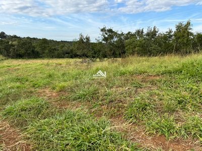 Terreno, 100 hectares - Foto 4