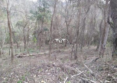 Terreno, 2000 m² - Foto 4