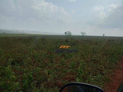 Fazenda, 484 hectares - Foto 5
