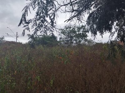 Terreno, 2500 m² - Foto 4