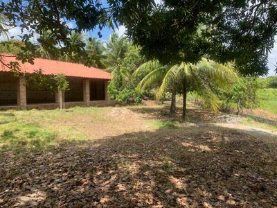 Terreno, 2792 m² - Foto 5
