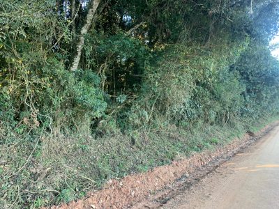 Terreno, 3 hectares - Foto 4