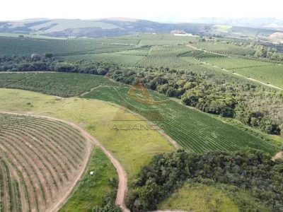 Fazenda, 93 hectares - Foto 5