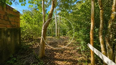 Terreno, 504 m² - Foto 3