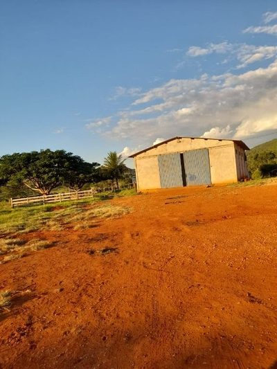 Fazenda, 1210 hectares - Foto 4