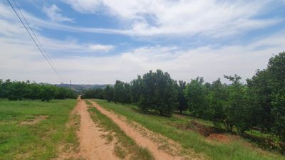 Fazenda, 92 hectares - Foto 3