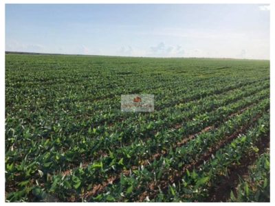 Fazenda, 2000 m² - Foto 2