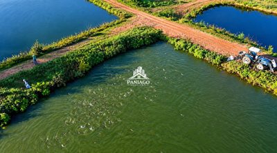Fazenda, 117 hectares - Foto 2