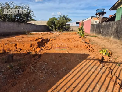 Casa, 4 quartos, 435 m² - Foto 4