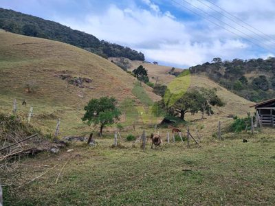 Sítio, 2 quartos, 75 hectares - Foto 1
