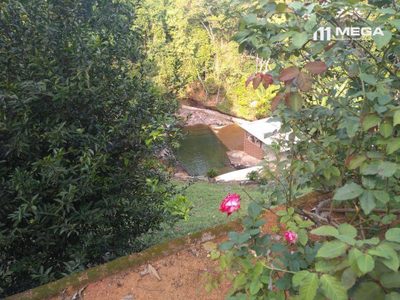 Terreno, 11 hectares - Foto 3